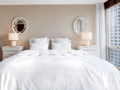 智惠睡眠·碳索 陕西雅兰纺织集团邀您上海共鉴